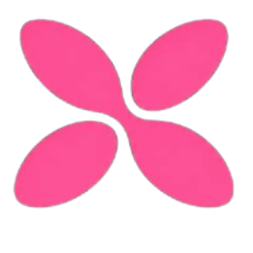 Project XORA logo